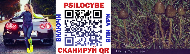 Псилоцибиновые грибы GOLDEN TEACHER  Гатчина 